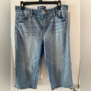 Democracy Blue Denim Bermuda Shorts